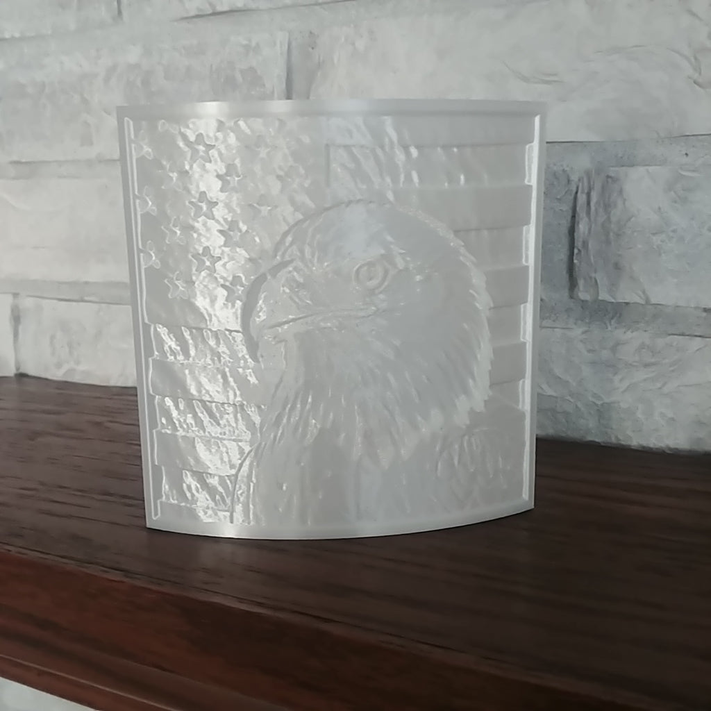 American Flag Bald Eagle Lighted Accent - Physical Product